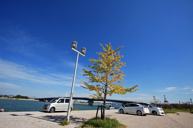 a0242438_20203323.jpg