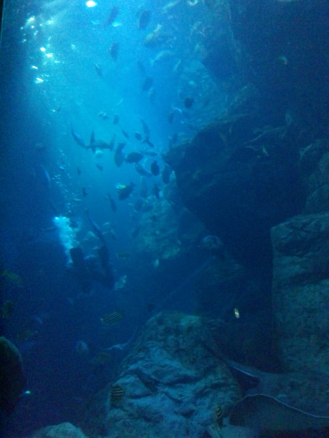 d0244839_22525872.jpg