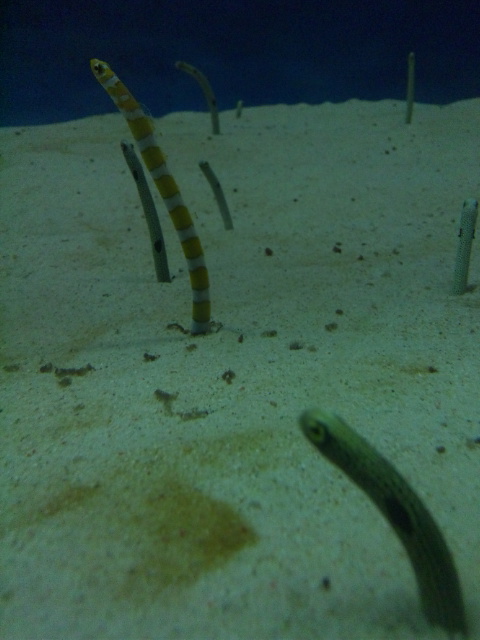 d0244839_2342331.jpg