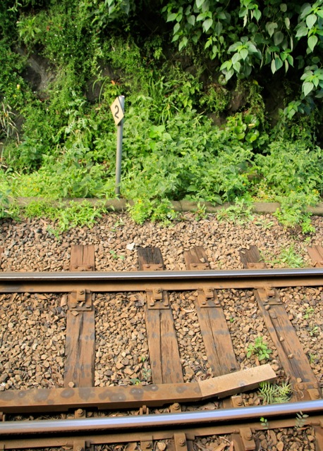 b0271141_0474822.jpg