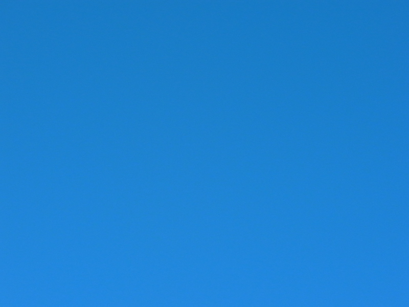 b0190242_22385031.jpg