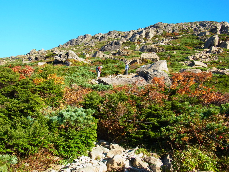 b0190242_22394635.jpg
