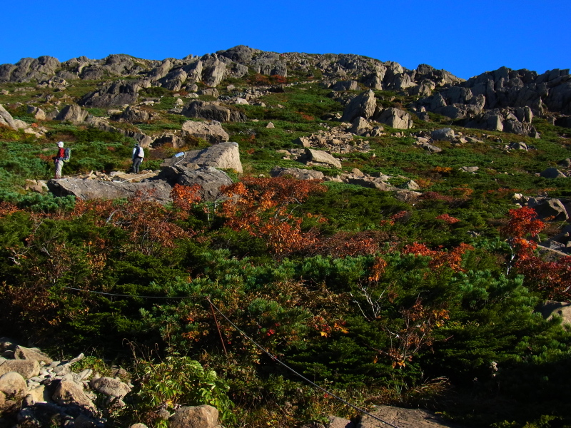 b0190242_2239721.jpg