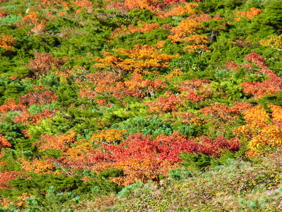 b0190242_22401748.jpg