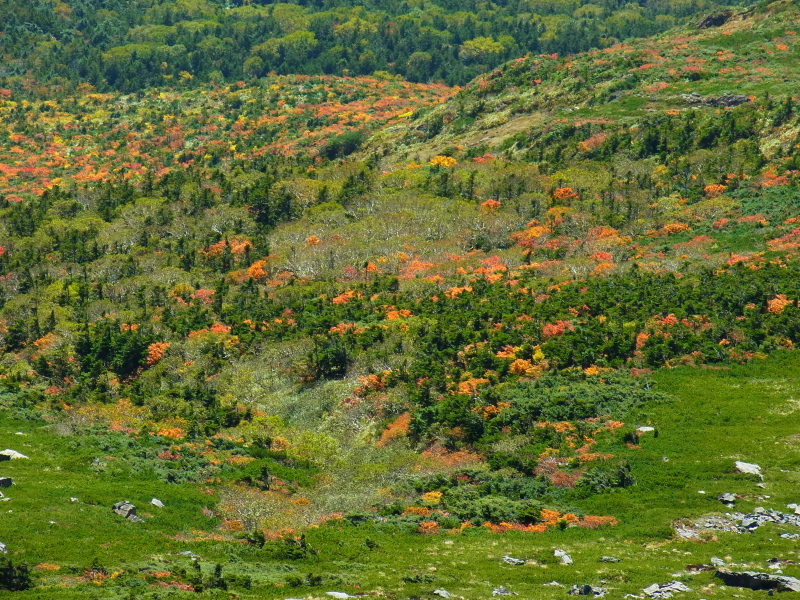 b0190242_22523421.jpg