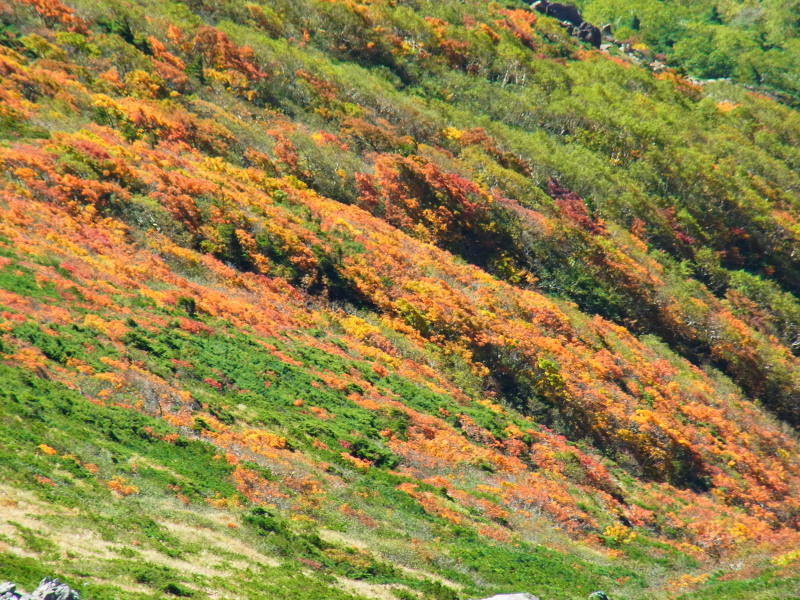 b0190242_22525251.jpg