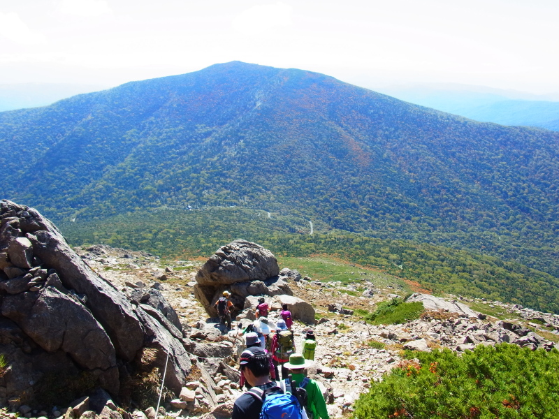b0190242_22535079.jpg
