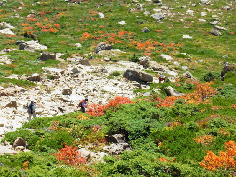 b0190242_22544526.jpg
