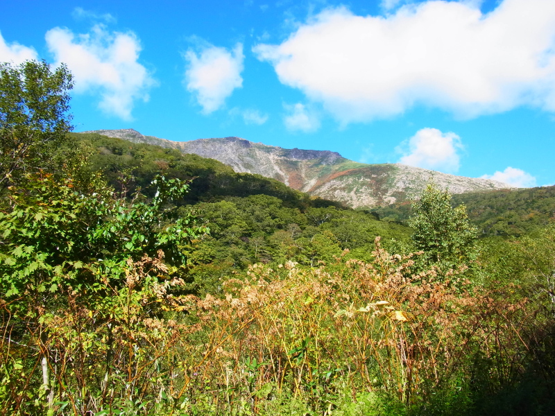 b0190242_22565971.jpg