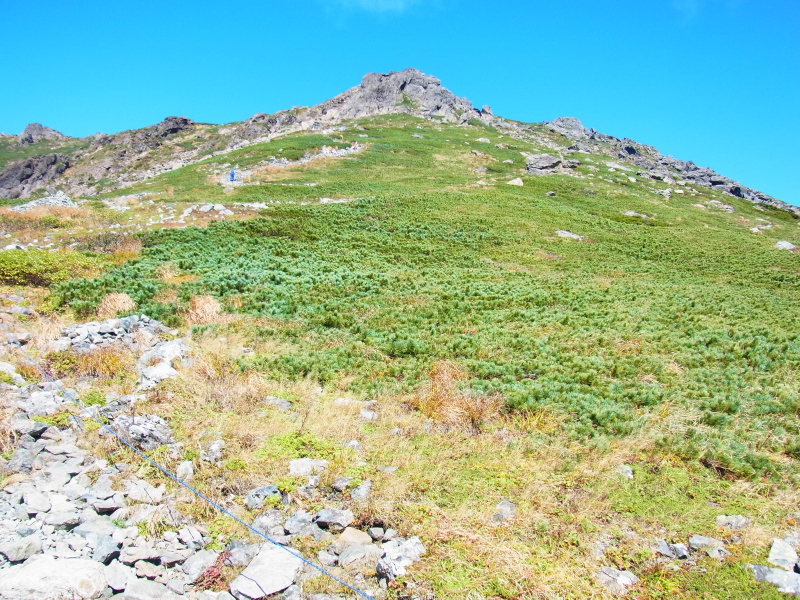 b0190242_2314556.jpg