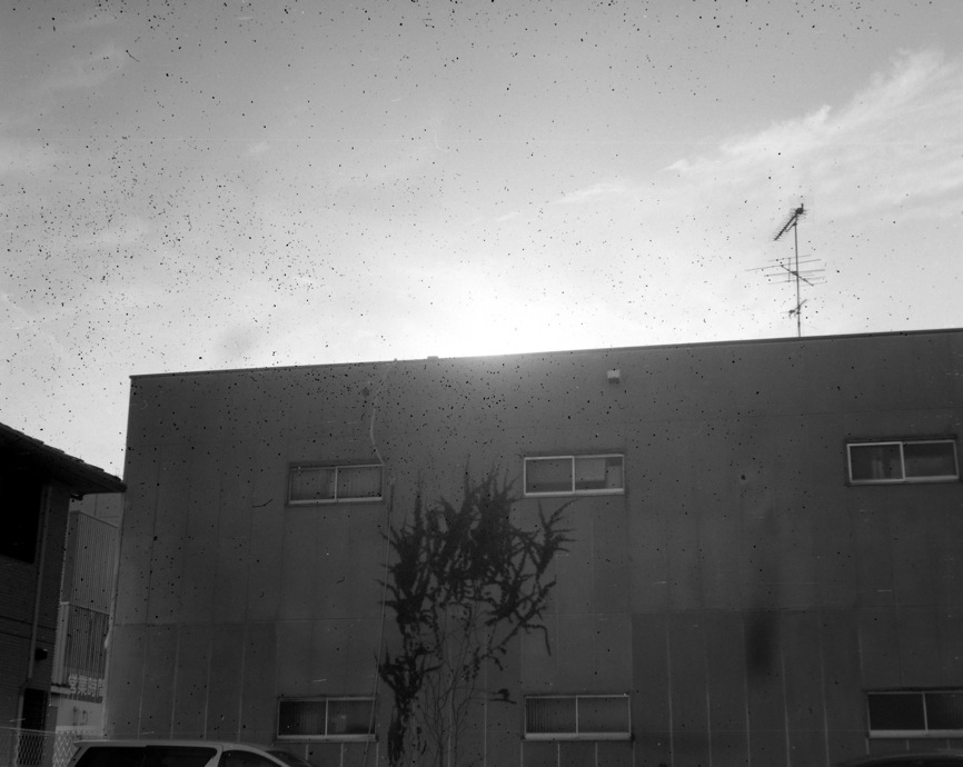 d0089742_23543656.jpg