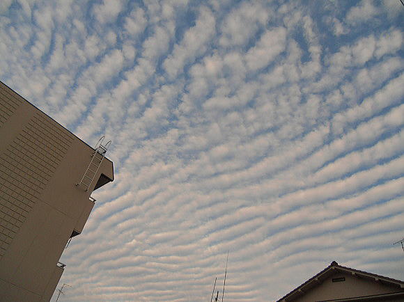 f0094843_1158378.jpg