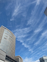 e0080345_8591355.jpg