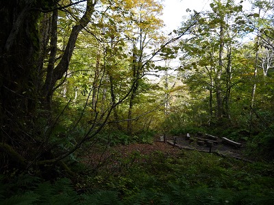 c0220047_16154044.jpg