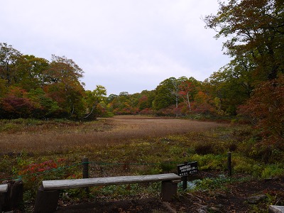 c0220047_1616213.jpg