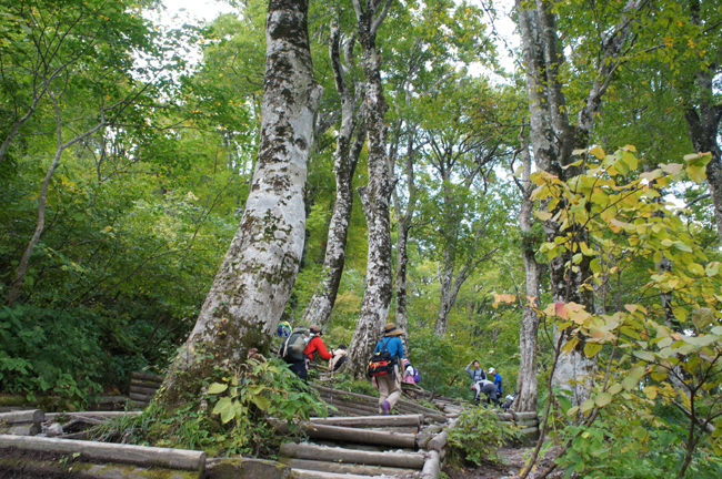 f0214649_15242178.jpg