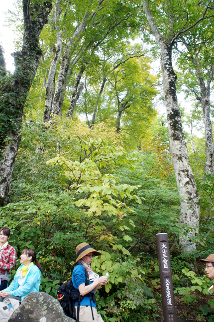 f0214649_15245170.jpg