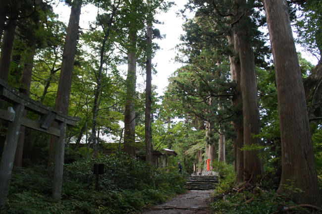 f0214649_1525196.jpg