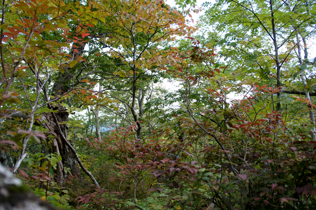 f0214649_1582339.jpg