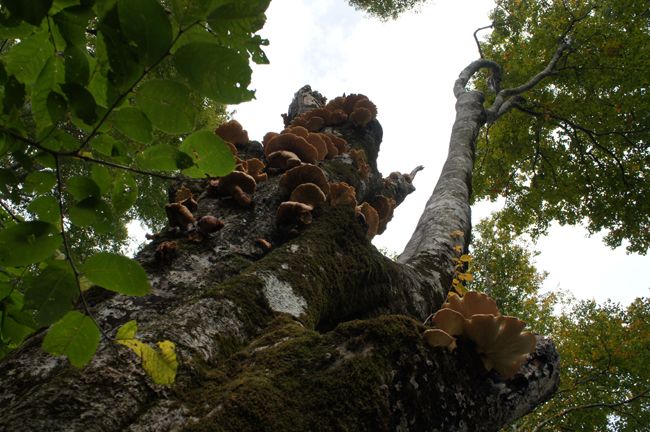 f0214649_1592420.jpg