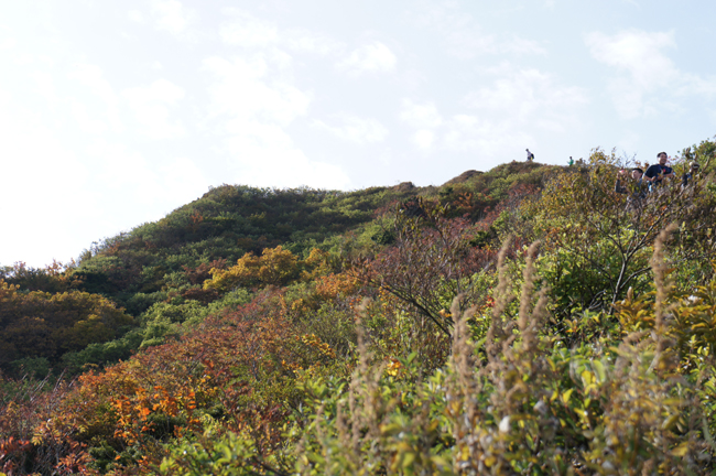 f0214649_16135536.jpg