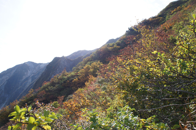 f0214649_16141325.jpg