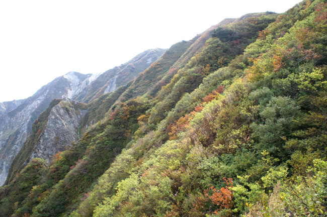 f0214649_16174240.jpg