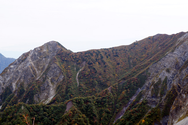 f0214649_16175951.jpg