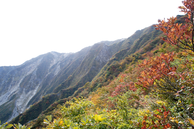 f0214649_1693751.jpg