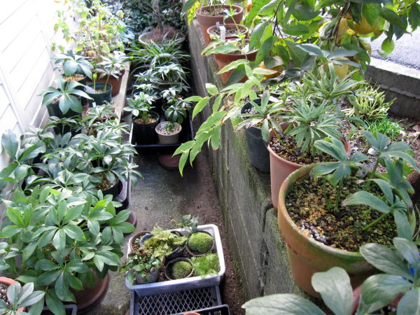 c0147952_18354391.jpg