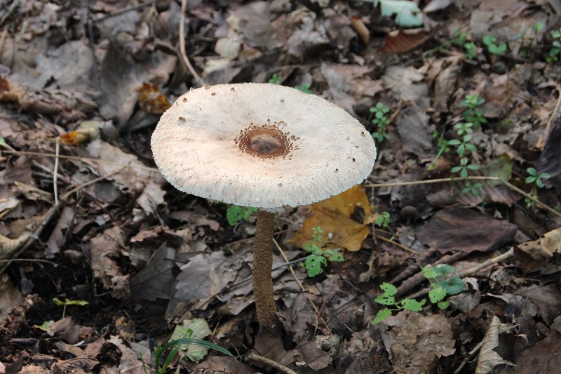 b0250154_2231446.jpg