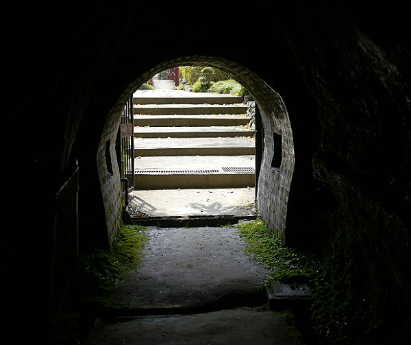 d0091754_10175.jpg