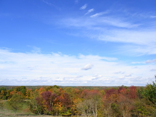 a0149356_1472072.jpg