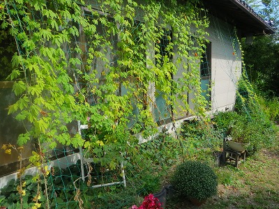 e0001860_1814249.jpg