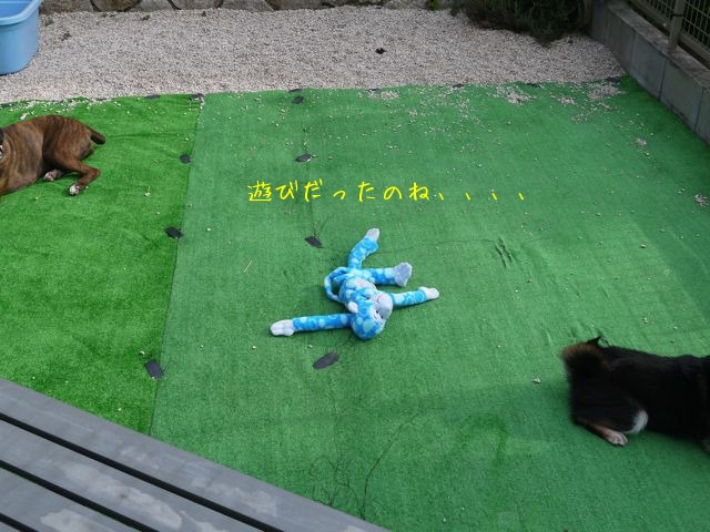 f0177261_1732584.jpg