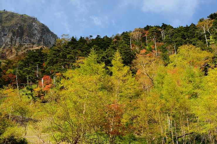 f0222161_10474837.jpg