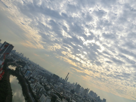 b0190666_2056714.jpg