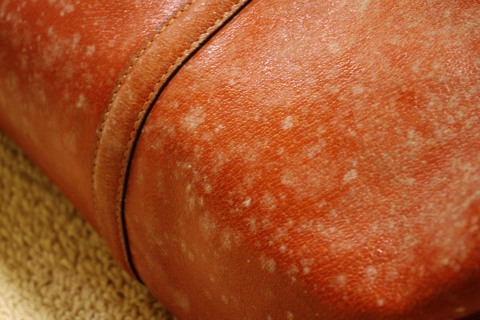 e0045768_2130233.jpg
