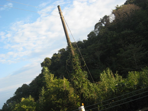e0292172_204588.jpg