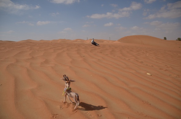e0066474_22382510.jpg