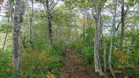 c0022275_12455812.jpg