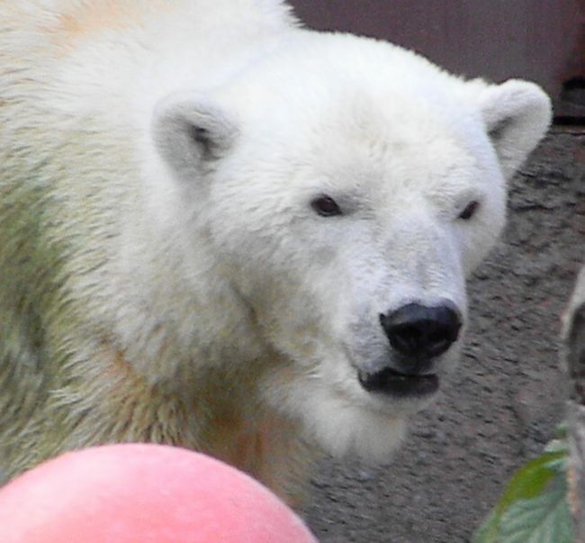 b0014576_2352653.jpg