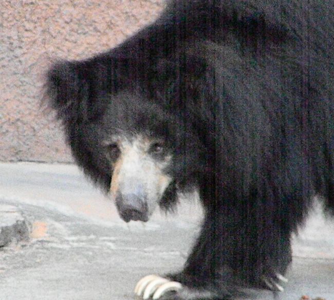 b0014576_2353035.jpg
