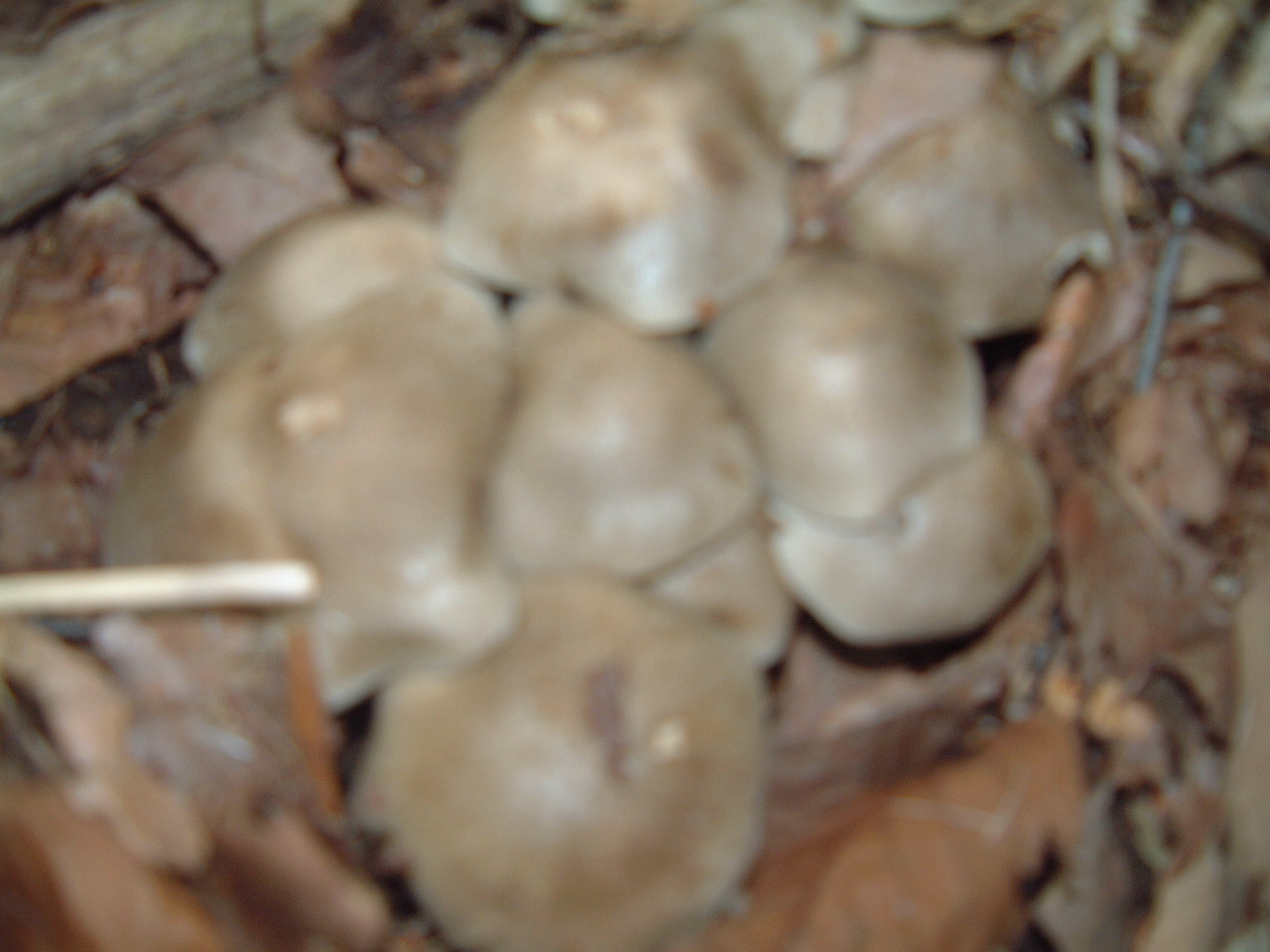 c0237780_18184899.jpg