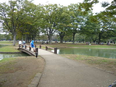 a0257385_4564965.jpg