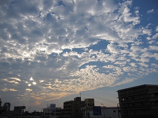 a0113886_16471281.jpg