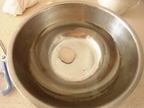 e0264287_1950728.jpg