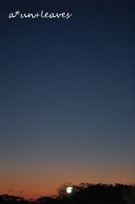 b0162388_23235351.jpg