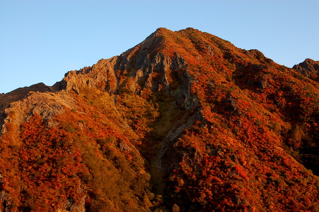 b0203588_15154898.jpg