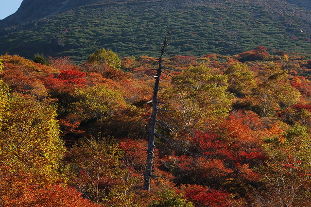 b0203588_15205950.jpg